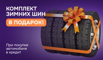 Зимние шины в подарок